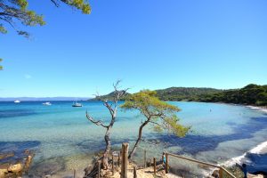 DSC_0624-copie