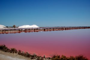 Salin de Camargue