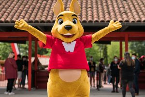 Bienvenue à Walibi Rhône-Alpes Zones-2021