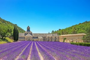 Luberon