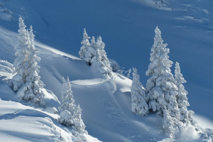 pixabay-vercors-seminaire (1)-copie1
