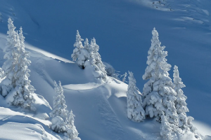 pixabay-vercors-seminaire
