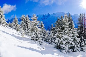 team-b-montagne-incentive-montagne-réceptif-megeve