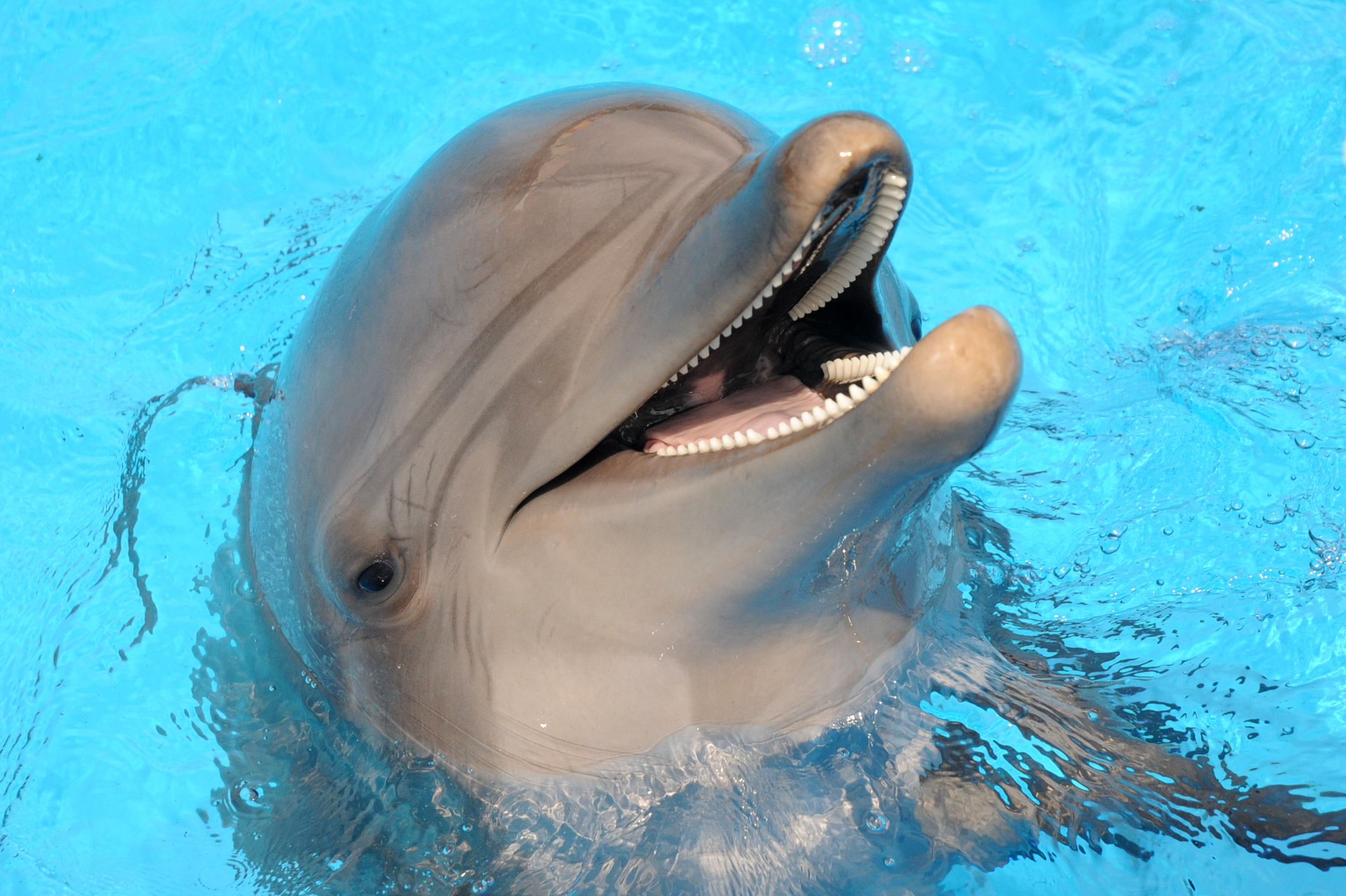 Marineland
