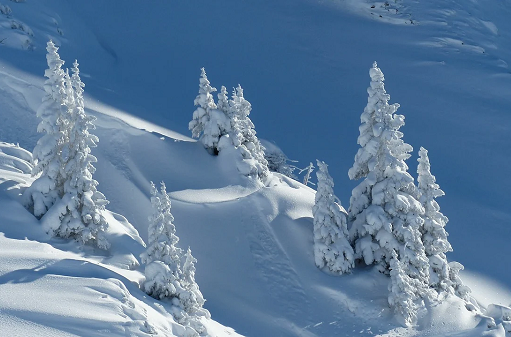 pixabay-vercors-seminaire (1)-copie1