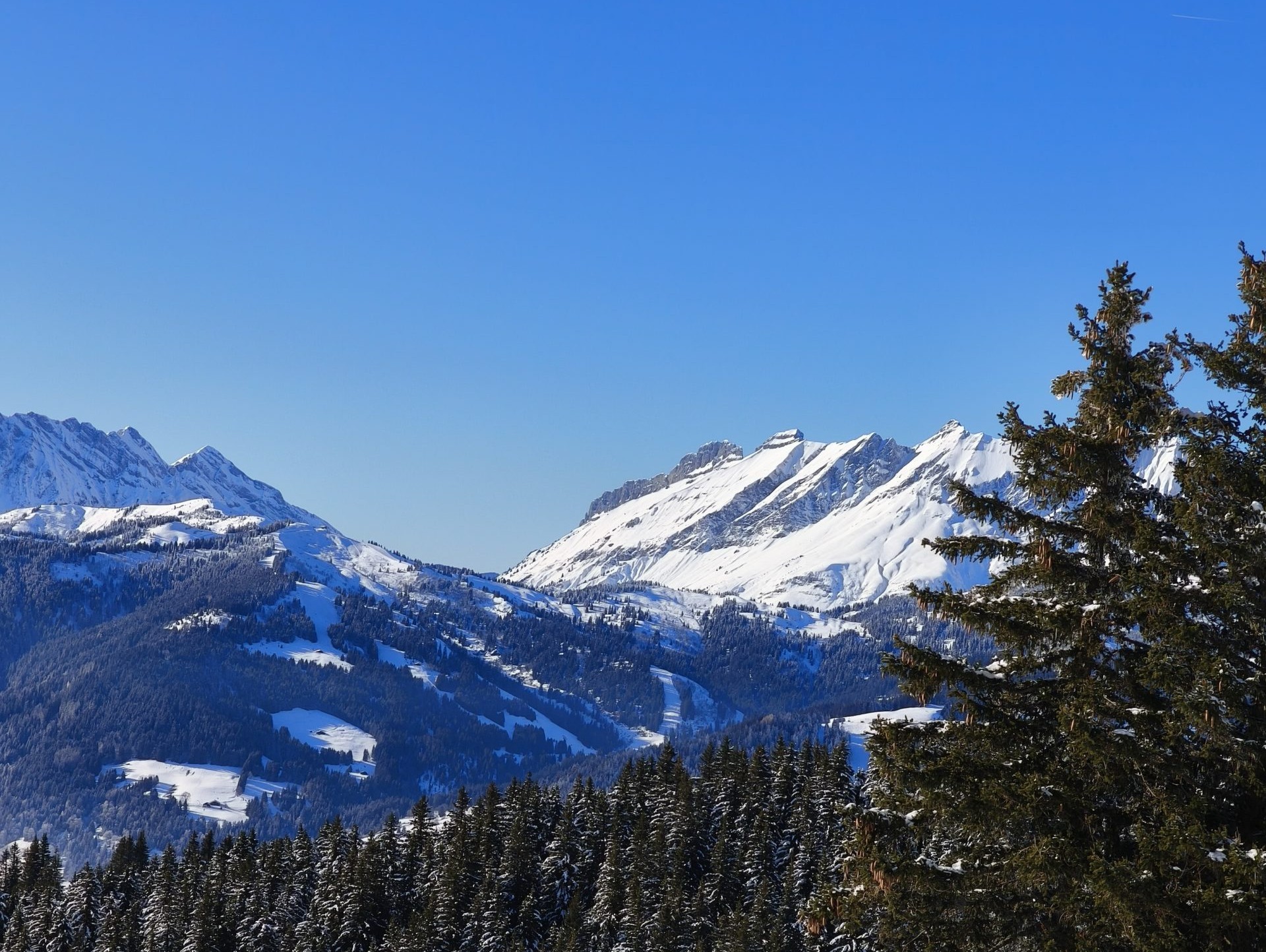 IMG_20250113_141119-scaled-copie2