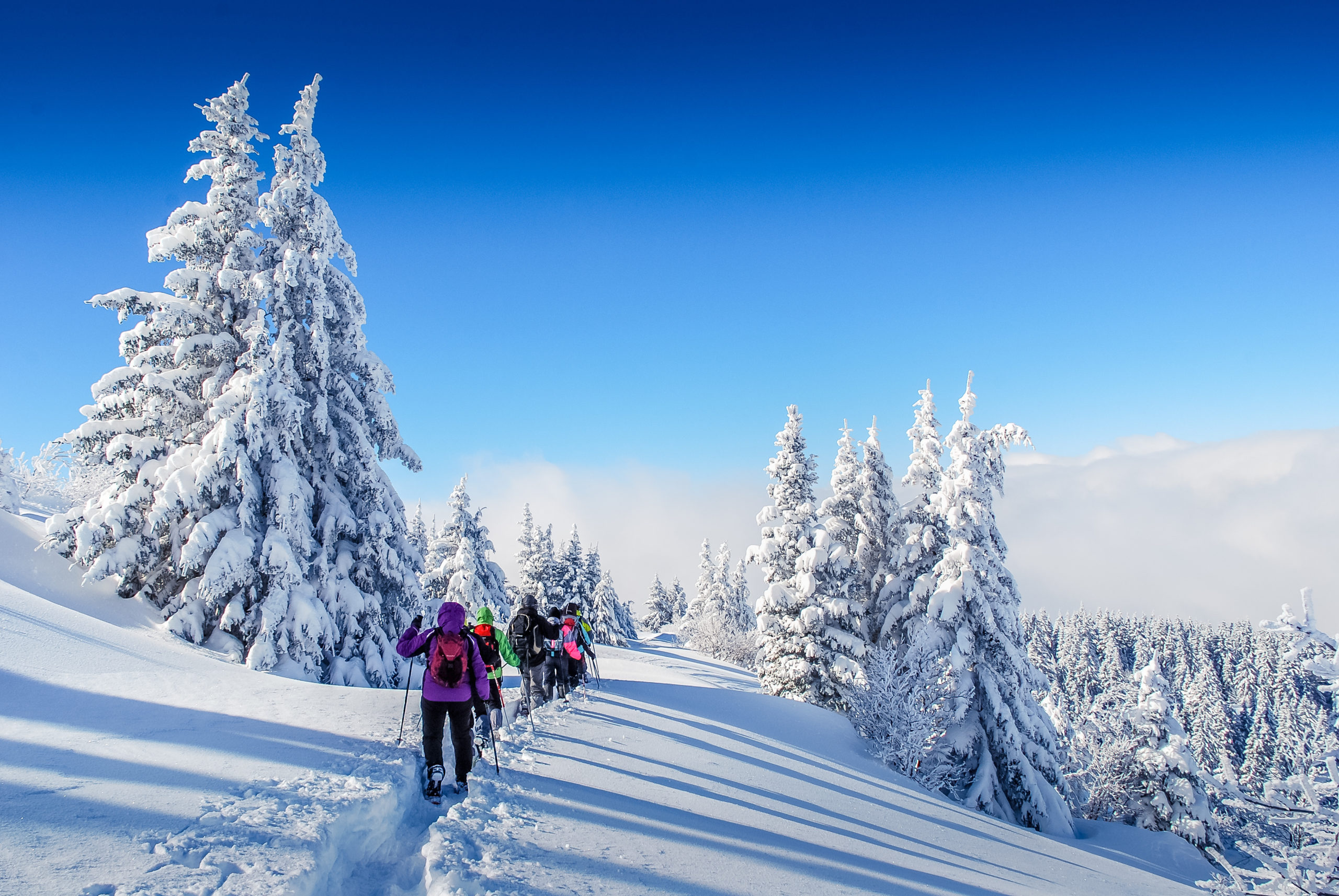 Après une grosse tombée de neige, la lumière peut être exceptionnelle et délivrée des couleurs bleu blanc incroyables