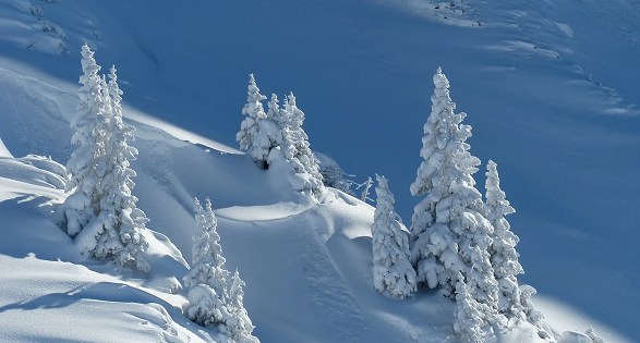 pixabay-vercors-seminaire